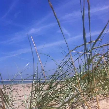 卡里布伊娃公寓 公寓