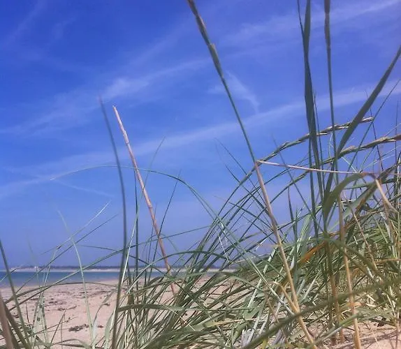 Le Caribou D'eva Apartment